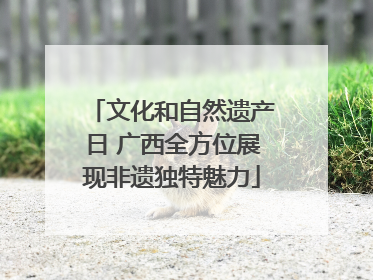 文化和自然遗产日 广西全方位展现非遗独特魅力