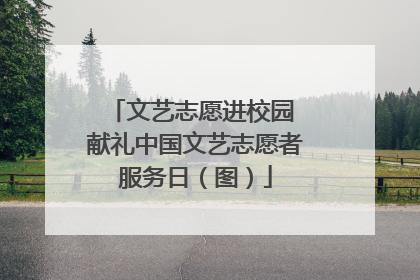 文艺志愿进校园 献礼中国文艺志愿者服务日（图）
