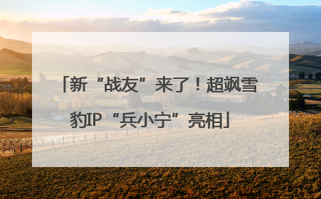 新“战友”来了！超飒雪豹IP“兵小宁”亮相