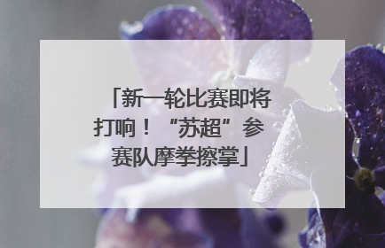 新一轮比赛即将打响！“苏超”参赛队摩拳擦掌