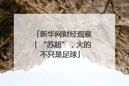 新华网财经观察｜“苏超”，火的不只是足球