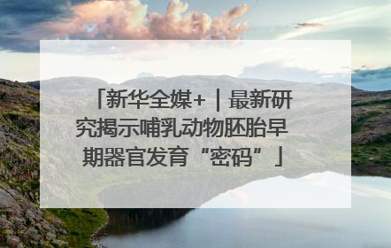 新华全媒+｜最新研究揭示哺乳动物胚胎早期器官发育“密码”