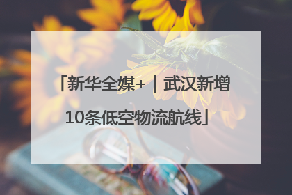 新华全媒+｜武汉新增10条低空物流航线