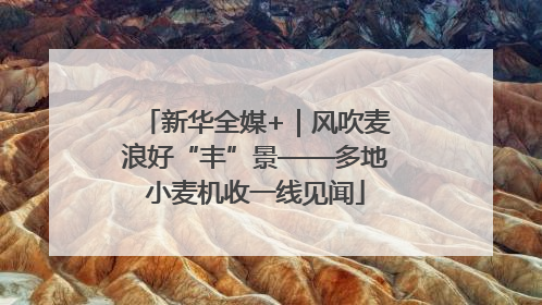 新华全媒+｜风吹麦浪好“丰”景——多地小麦机收一线见闻