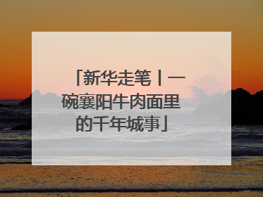 新华走笔丨一碗襄阳牛肉面里的千年城事
