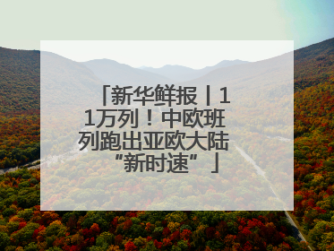 新华鲜报丨11万列！中欧班列跑出亚欧大陆“新时速”