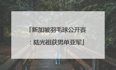 新加坡羽毛球公开赛：陆光祖获男单亚军