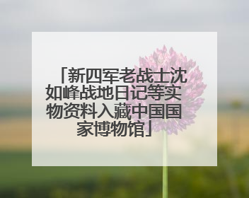 新四军老战士沈如峰战地日记等实物资料入藏中国国家博物馆