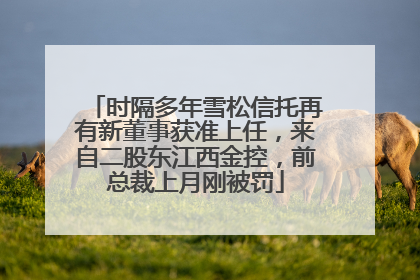 时隔多年雪松信托再有新董事获准上任，来自二股东江西金控，前总裁上月刚被罚