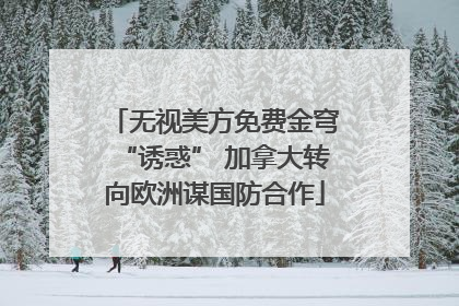 无视美方免费金穹“诱惑” 加拿大转向欧洲谋国防合作