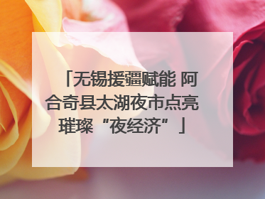 无锡援疆赋能 阿合奇县太湖夜市点亮璀璨“夜经济”