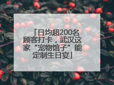 日均超200名顾客打卡，武汉这家“宠物馆子”能定制生日宴