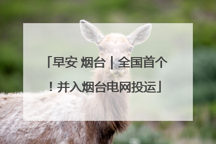 早安 烟台｜全国首个！并入烟台电网投运
