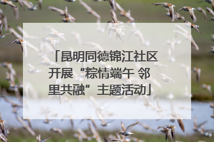 昆明同德锦江社区开展“粽情端午 邻里共融”主题活动