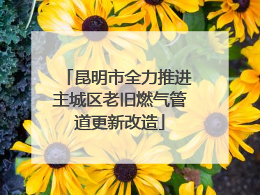 昆明市全力推进主城区老旧燃气管道更新改造