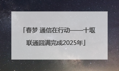 春梦 通信在行动——十堰联通圆满完成2025年