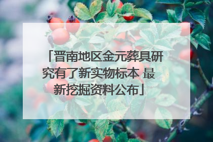 晋南地区金元葬具研究有了新实物标本 最新挖掘资料公布