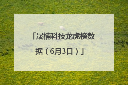 晟楠科技龙虎榜数据（6月3日）