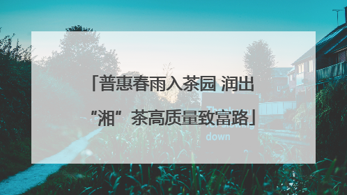 普惠春雨入茶园 润出“湘”茶高质量致富路