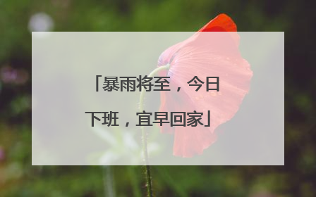 暴雨将至，今日下班，宜早回家