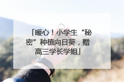 暖心！小学生“秘密”种植向日葵，赠高三学长学姐