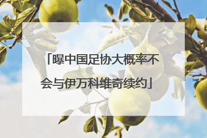 曝中国足协大概率不会与伊万科维奇续约