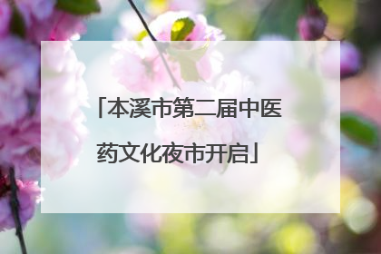 本溪市第二届中医药文化夜市开启