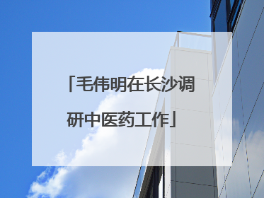 毛伟明在长沙调研中医药工作