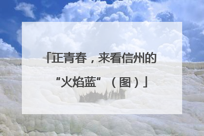正青春，来看信州的“火焰蓝”（图）