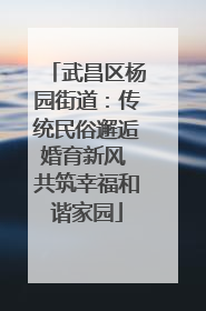武昌区杨园街道：传统民俗邂逅婚育新风 共筑幸福和谐家园