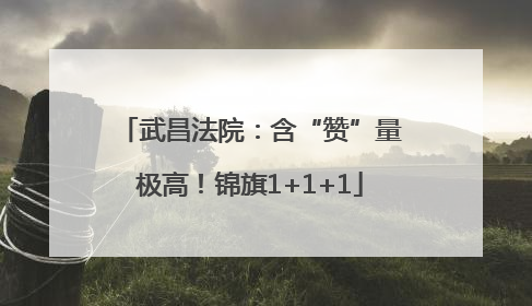 武昌法院：含“赞”量极高！锦旗1+1+1