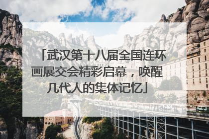 武汉第十八届全国连环画展交会精彩启幕，唤醒几代人的集体记忆