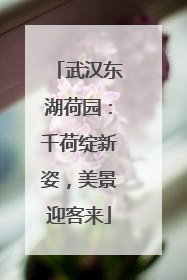 武汉东湖荷园：千荷绽新姿，美景迎客来