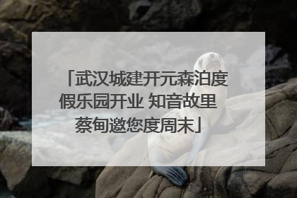 武汉城建开元森泊度假乐园开业 知音故里蔡甸邀您度周末