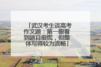 武汉考生谈高考作文题：第一眼看到题目很慌，但整体写得较为流畅