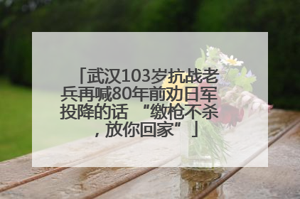 武汉103岁抗战老兵再喊80年前劝日军投降的话 “缴枪不杀，放你回家”