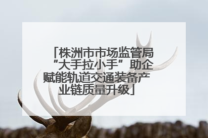 株洲市市场监管局“大手拉小手”助企赋能轨道交通装备产业链质量升级