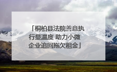 桐柏县法院善意执行显温度 助力小微企业追回拖欠租金