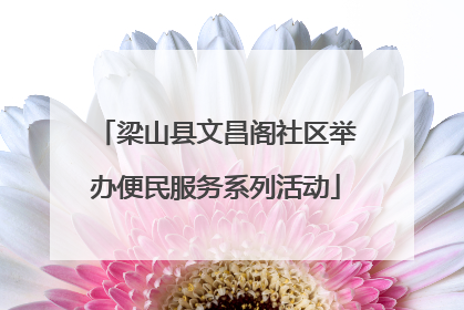 梁山县文昌阁社区举办便民服务系列活动