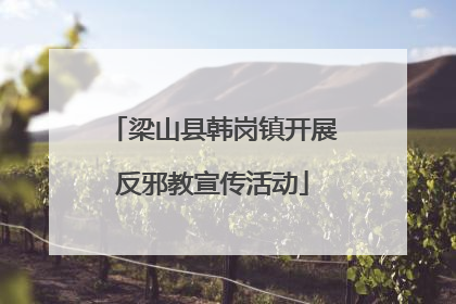 梁山县韩岗镇开展反邪教宣传活动