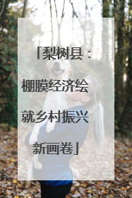 梨树县：棚膜经济绘就乡村振兴新画卷