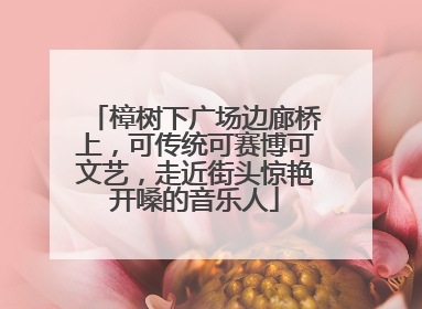 樟树下广场边廊桥上，可传统可赛博可文艺，走近街头惊艳开嗓的音乐人