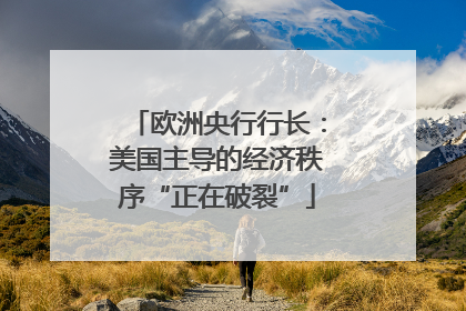 欧洲央行行长：美国主导的经济秩序“正在破裂”