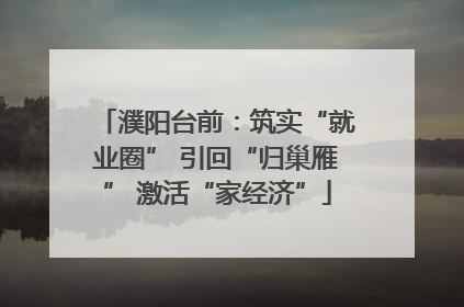 濮阳台前：筑实“就业圈” 引回“归巢雁” 激活“家经济”