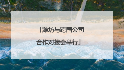 潍坊与跨国公司合作对接会举行