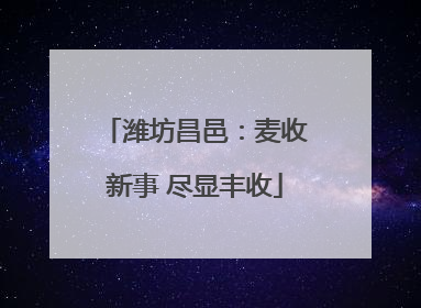 潍坊昌邑：麦收新事 尽显丰收