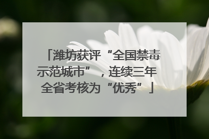 潍坊获评“全国禁毒示范城市”，连续三年全省考核为“优秀”