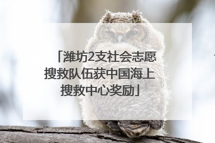 潍坊2支社会志愿搜救队伍获中国海上搜救中心奖励