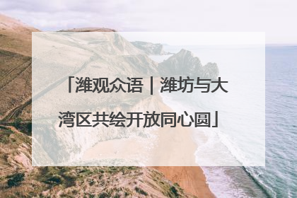 潍观众语｜潍坊与大湾区共绘开放同心圆