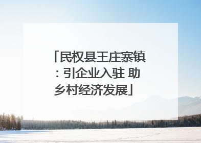 民权县王庄寨镇：引企业入驻 助乡村经济发展